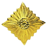 Odznak hodnostní NVA hvìzda GOLD - ZLATÁ