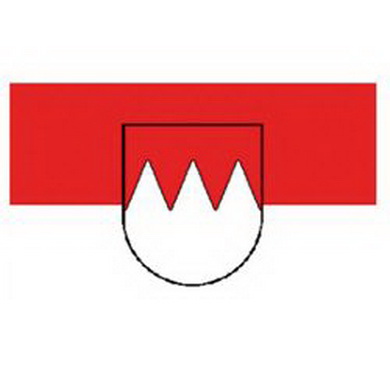 Vlajka FRANKEN/VC. s emblemem