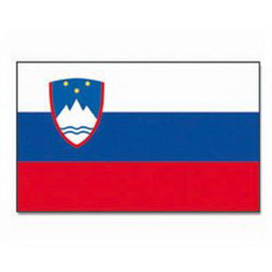 Vlajka sttn SLOVINSKO