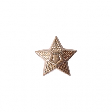 Odznak AÈR hodnost hvìzda bronzová malá
